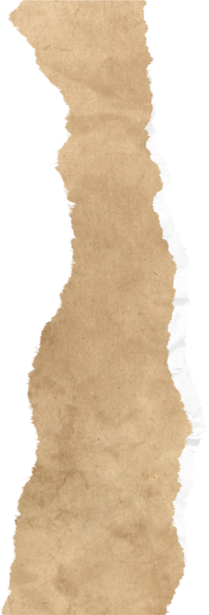 Brown Torn Paper