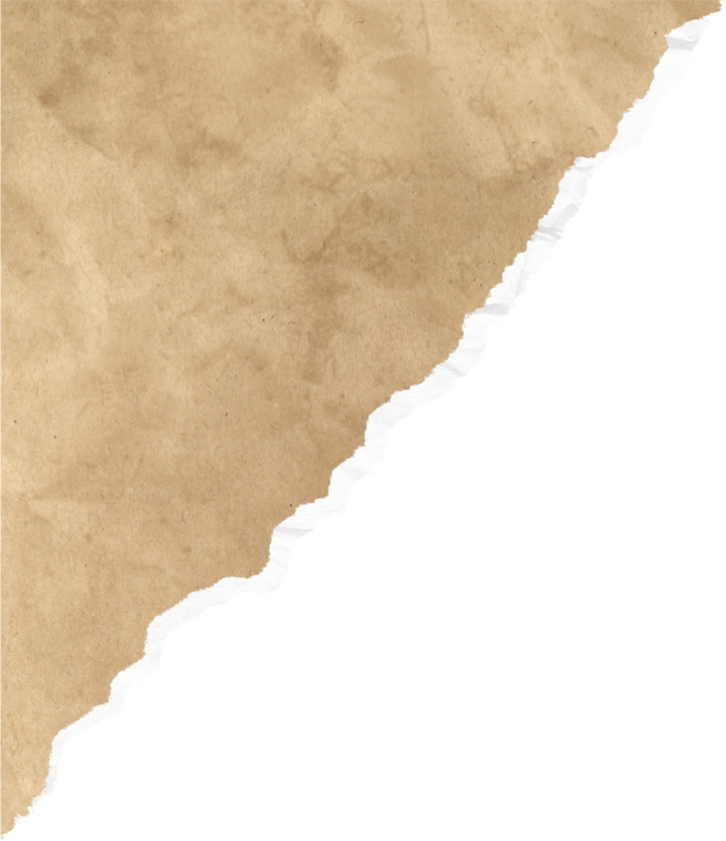 Brown Torn Paper